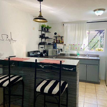 Zebra Studio Tijuana Dış mekan fotoğraf