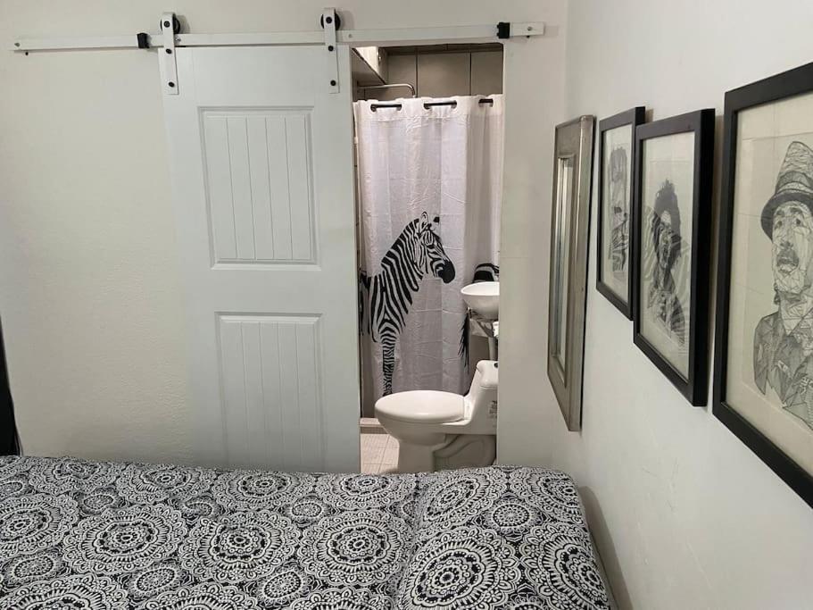 Zebra Studio Tijuana Dış mekan fotoğraf