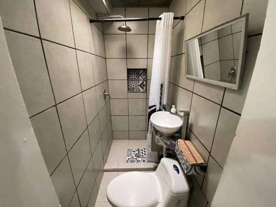 Zebra Studio Tijuana Dış mekan fotoğraf