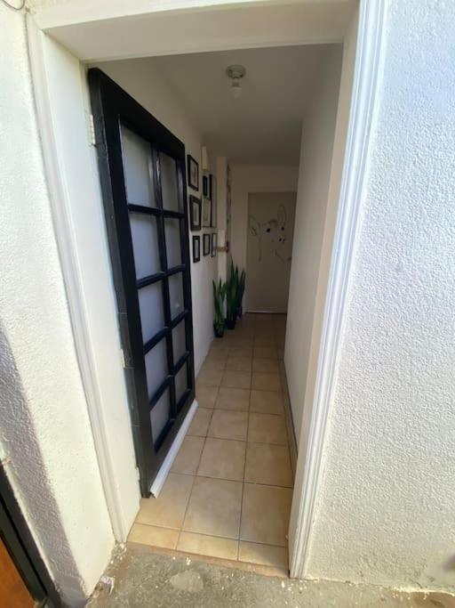 Zebra Studio Tijuana Dış mekan fotoğraf