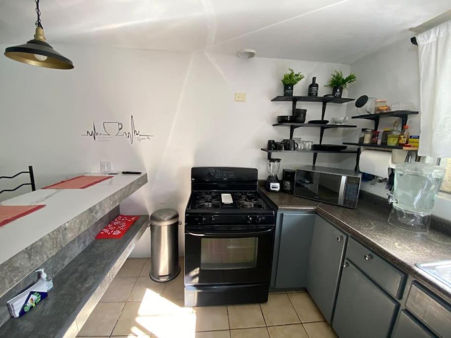 Zebra Studio Tijuana Dış mekan fotoğraf