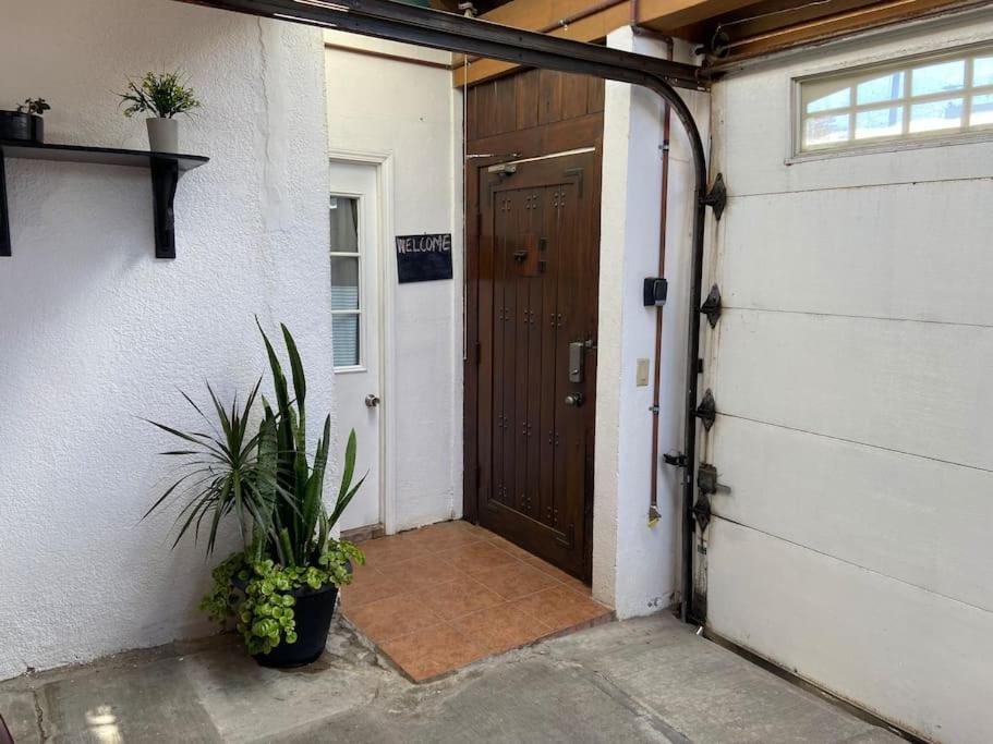 Zebra Studio Tijuana Dış mekan fotoğraf